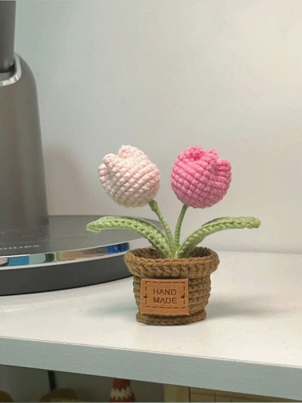 Florivya Handmade Crochet Flower Pot